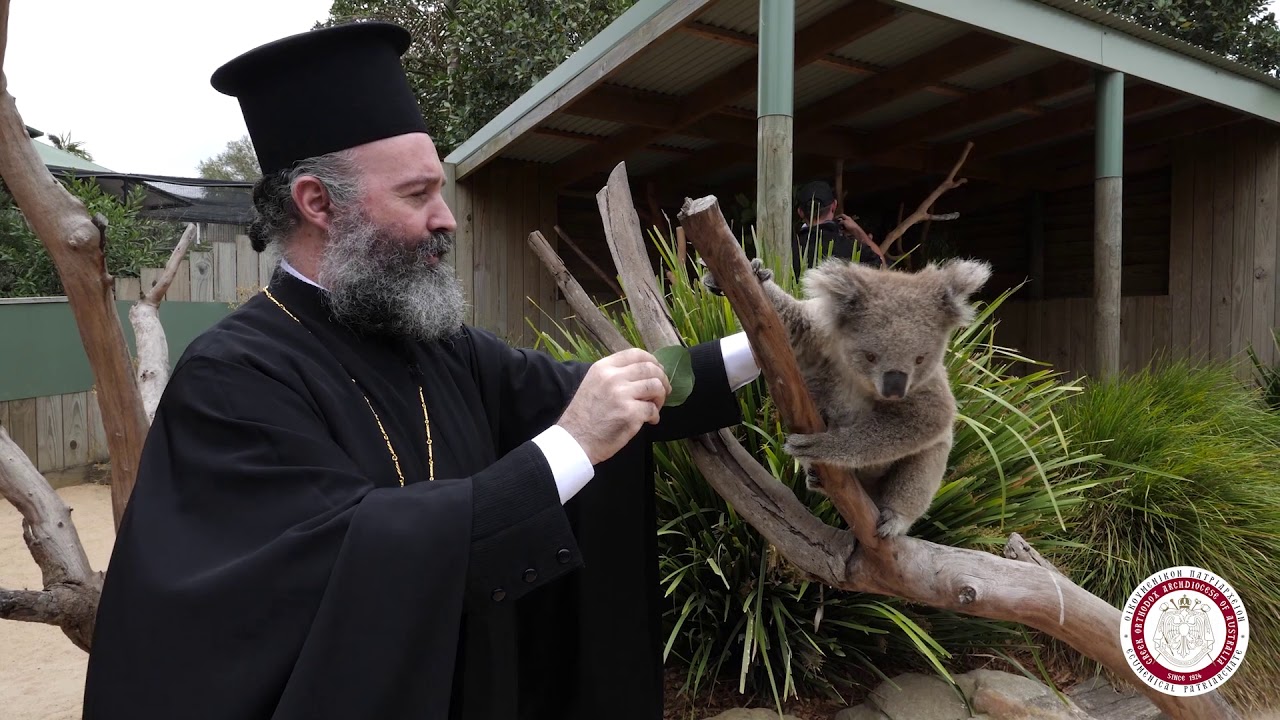 Αυστραλίας Μακάριος: Παρακαλώ συνεχίστε, δώστε περισσότερο, αγαπήστε περισσότερο, έχετε ελπίδα