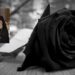 Εκδημία Αρχιμανδρίτου Πατρικίου Καλεώδη