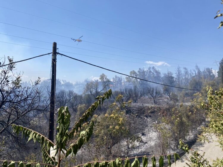 Πατρῶν Χρυσόστομος: « Μᾶς ἒσωσε ἡ Γηροκομήτισσα»