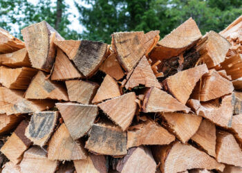 ΚΛΟΠΗ ΞΥΛΕΙΑΣ ΣΤΗΝ ΙΕΡΑ ΜΟΝΗ ΠΑΜΜΕΓΙΣΤΩΝ ΤΑΞΙΑΡΧΩΝ ΑΙΓΙΟΥ