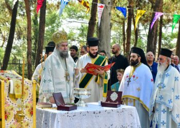 Σερρών Θεολόγος: «Απαράδεκτες και προκλητικές οι δηλώσεις του Τούρκου Προέδρου για την Κύπρο!»