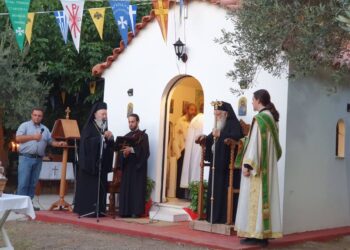 ΠΟΙΜΑΝΤΙΚΕΣ-ΛΕΙΤΟΥΡΓΙΚΕΣ ΠΑΡΟΥΣΙΕΣ ΤΟΥ ΜΗΤΡΟΠΟΛΙΤΟΥ ΧΑΛΚΙΔΟΣ