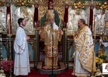 Η εορτή του Αγίου Δημητρίου σε Παπαδιάνικα και Ζάρακα