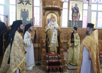 Τρυγών η φιλέρημος