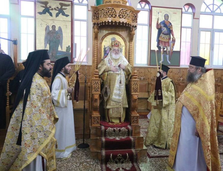 Τρυγών η φιλέρημος