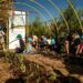 ΔΕΗ και Open Farm προωθούν τη βιώσιμη γεωργία στους μαθητές μέσω του “Carbon Farming Schools”