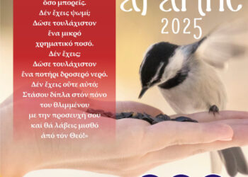 Σερρών Θεολόγος: «Ευχαριστώ τον λαό του Θεού για την συγκινητική ανταπόκρισή του στον εφετεινό Έρανο της Αγάπης»