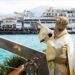 Λαμπρός ο εορτασμός των Θεοφανείων στην Καλαμάτα