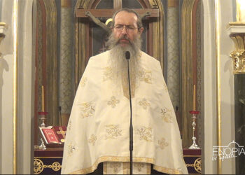 Αρχιμ. Νεκτάριος Τσεκούρας: Η υπακοή της Παναγίας θεράπευσε τις παρακοές του ανθρωπίνου γένους