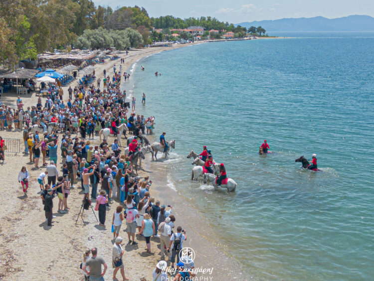 Ο Αγιασμός των αλόγων στα Καλά Νερά