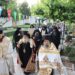 Με λαμπρότητα και κατάνυξη εορτάστηκε η μνήμη του Αγίου Αυγουστίνου στο Τρίκορφο Φωκίδος